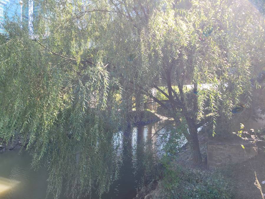 20241003_115019.jpg 20241003_115019.jpg