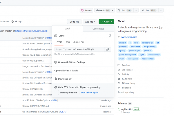 Raylib Git Clone